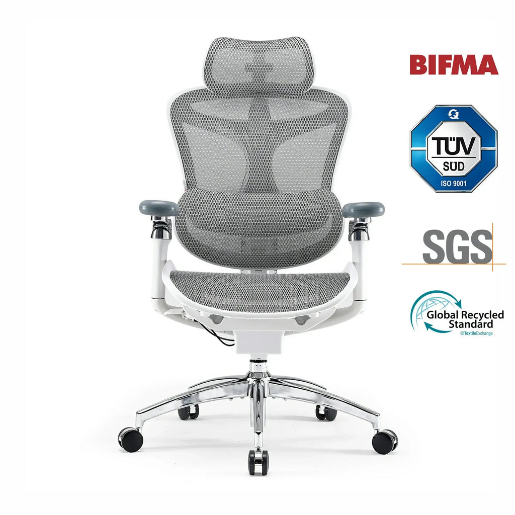 Ergovara V1 Ergonomic Chair