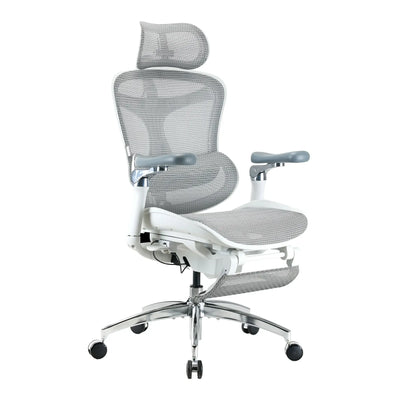 Sihoo Doro C300 Pro Ergonomic Chair