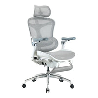 Sihoo Doro C300 Pro Ergonomic Chair
