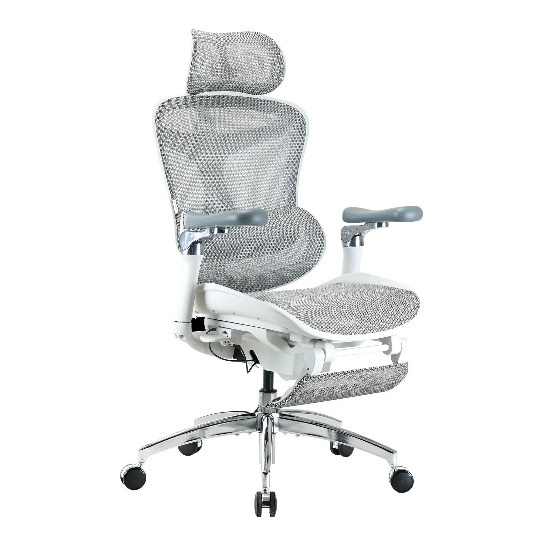 Ergovara V1 Ergonomic Chair